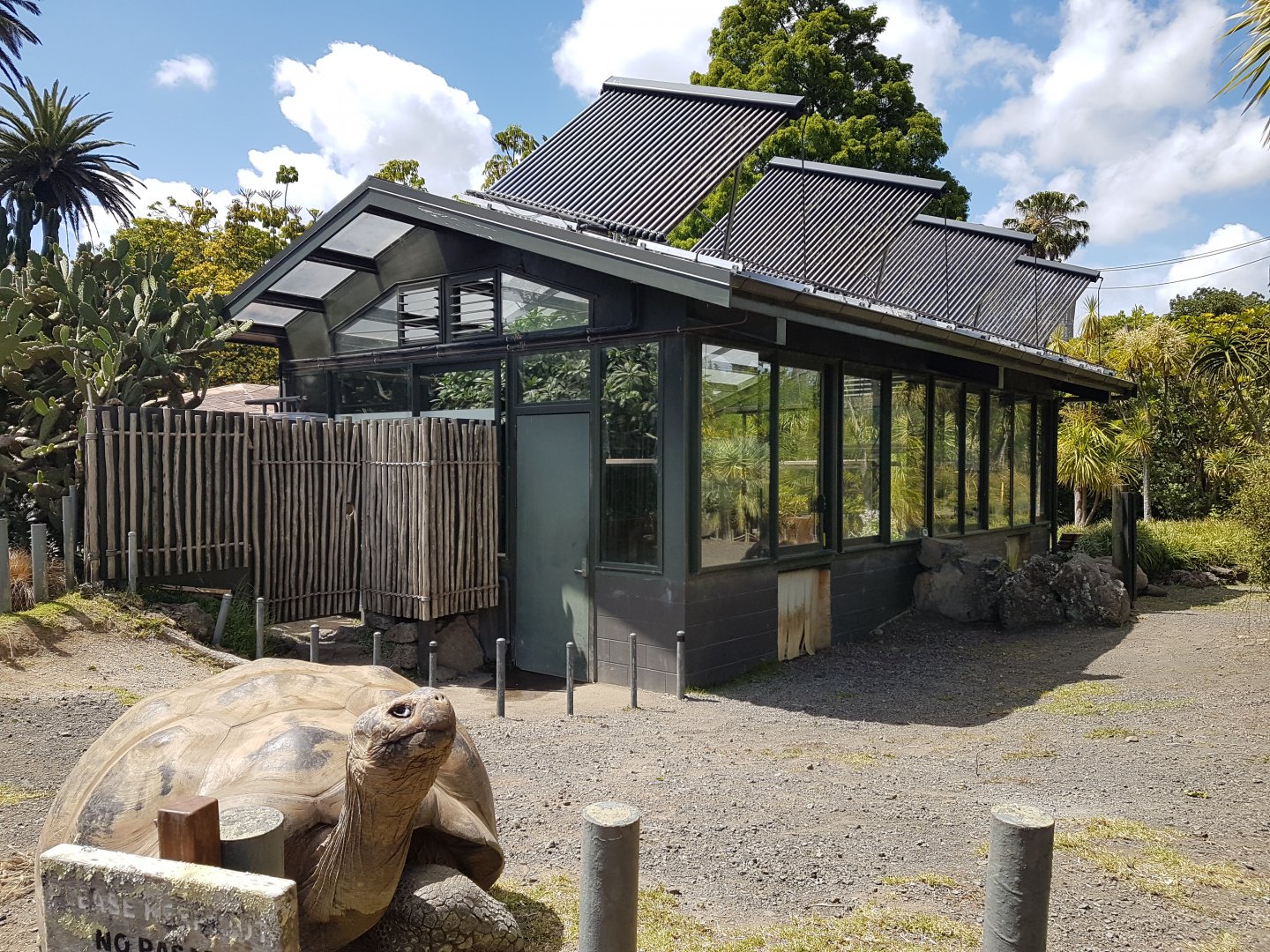 Auckland Zoo | Galapagos Giant Tortoise House