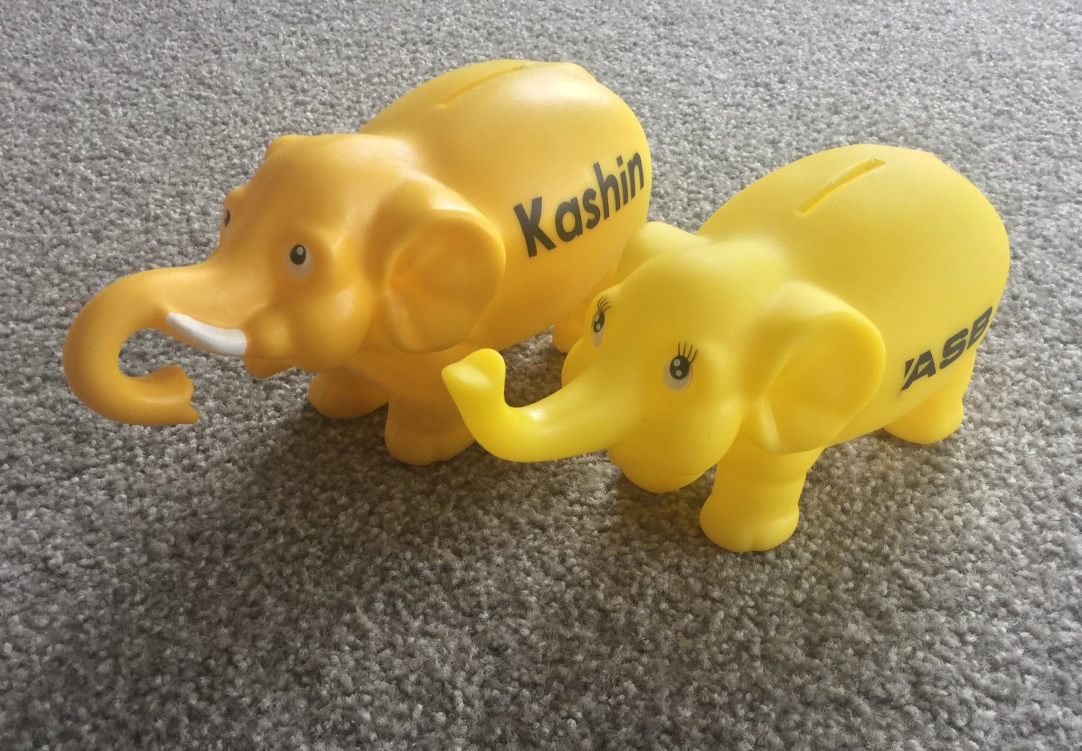 Auckland Zoo - Kashin the Elephant Money Box