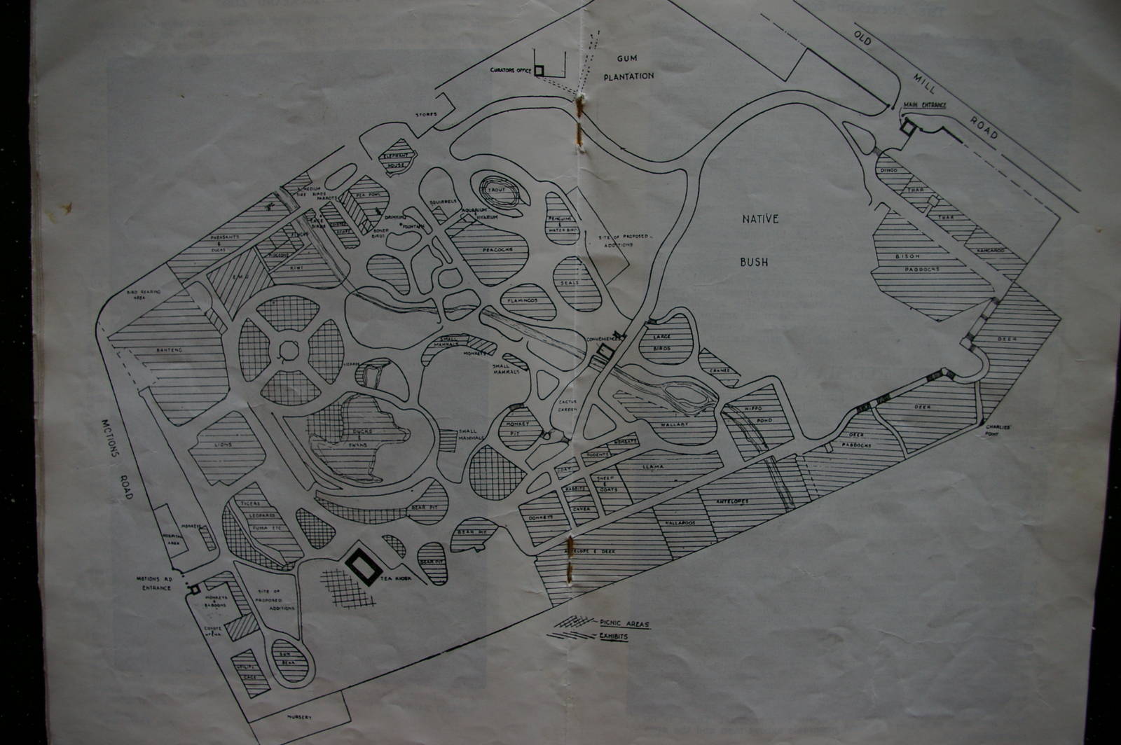 Auckland Zoo map, c. 1960