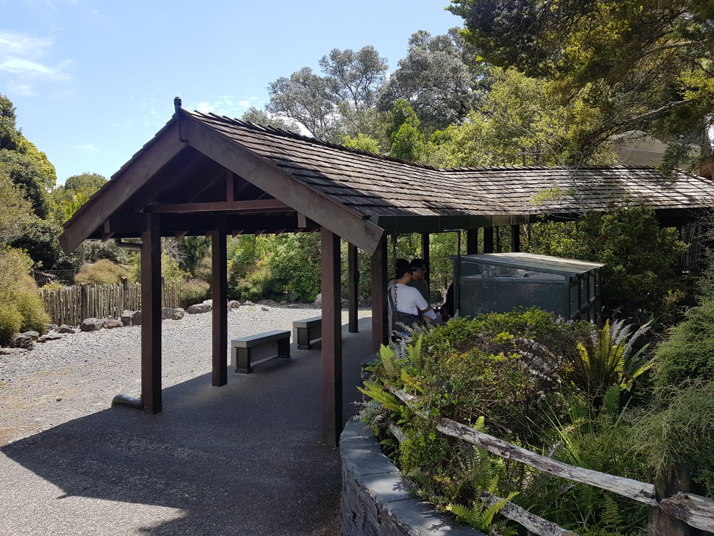 Auckland Zoo | Native Reptile Row