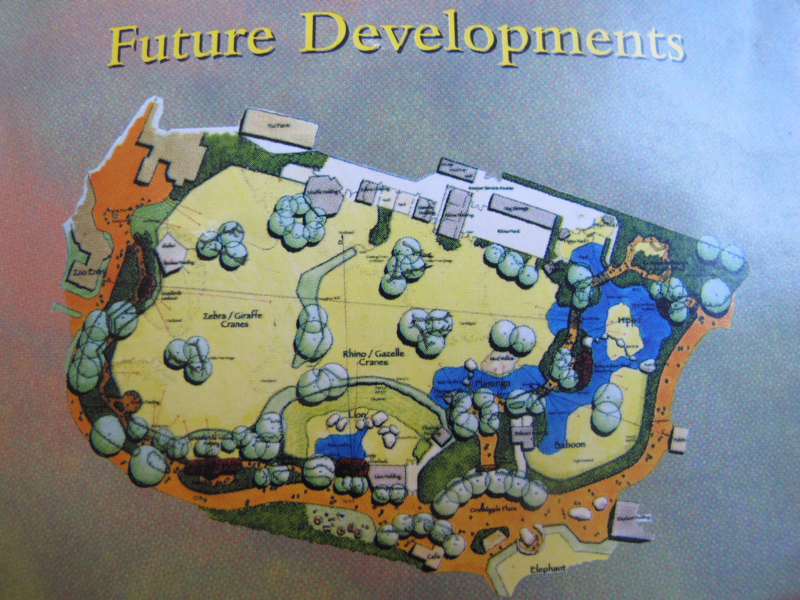 Auckland Zoo - Pridelands Plan 1996