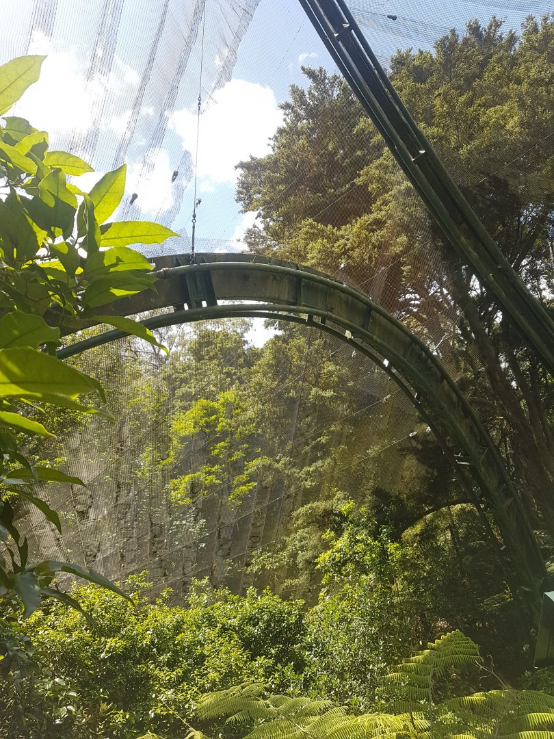 Auckland Zoo | The Forest Aviary Supports