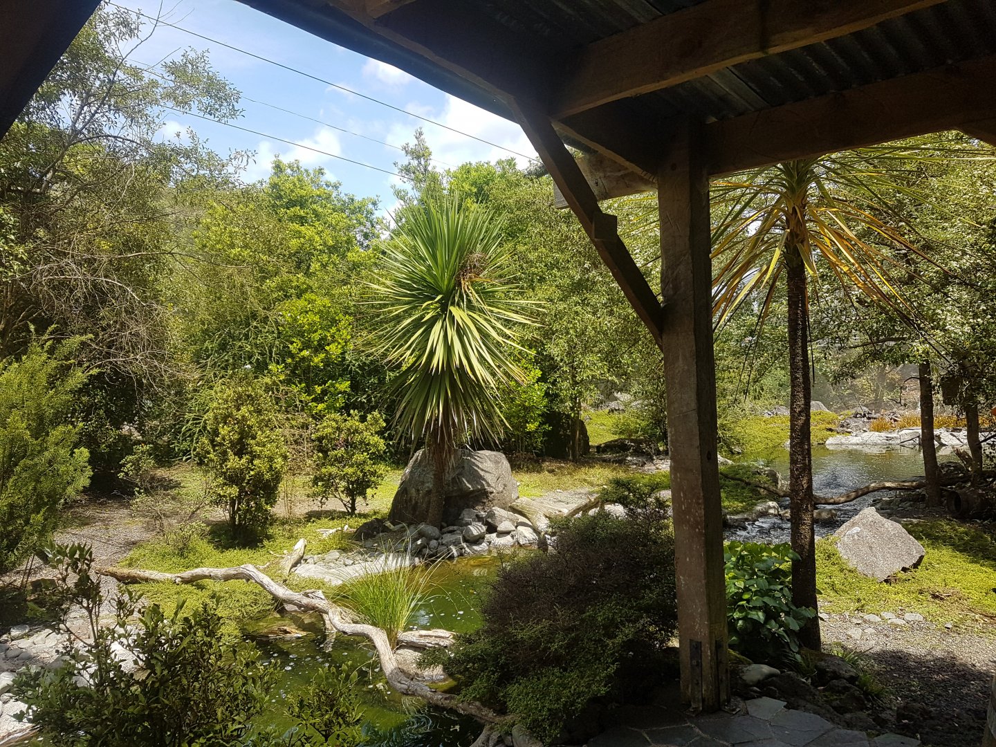 Auckland Zoo | The High Country Aviary