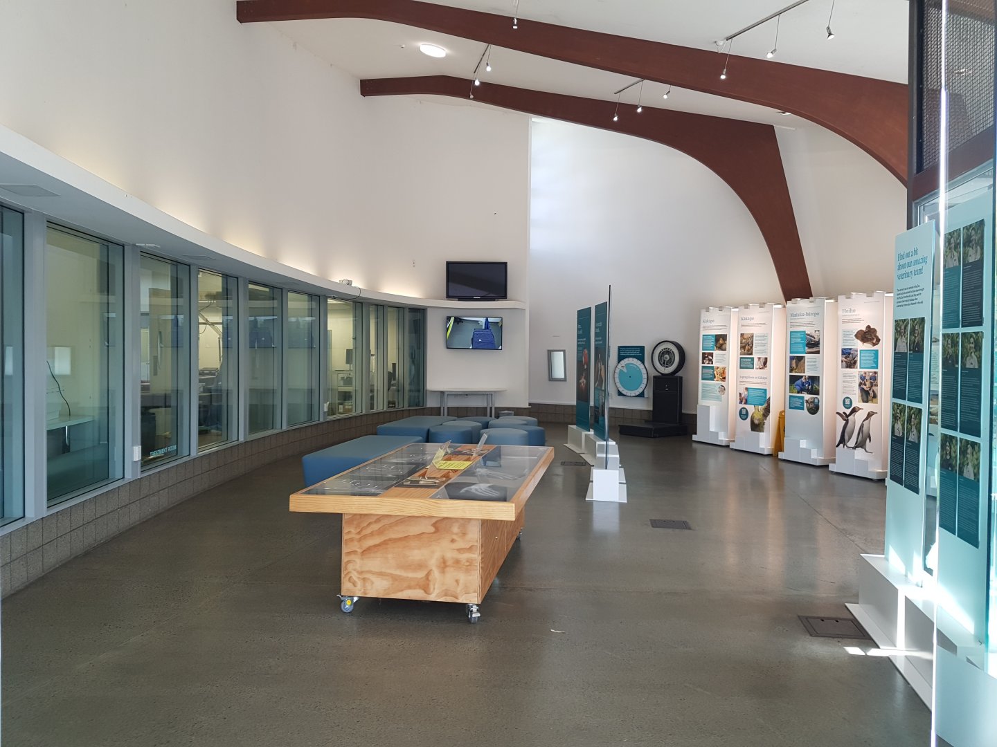 Auckland Zoo | Vet Hospital Public Viewing