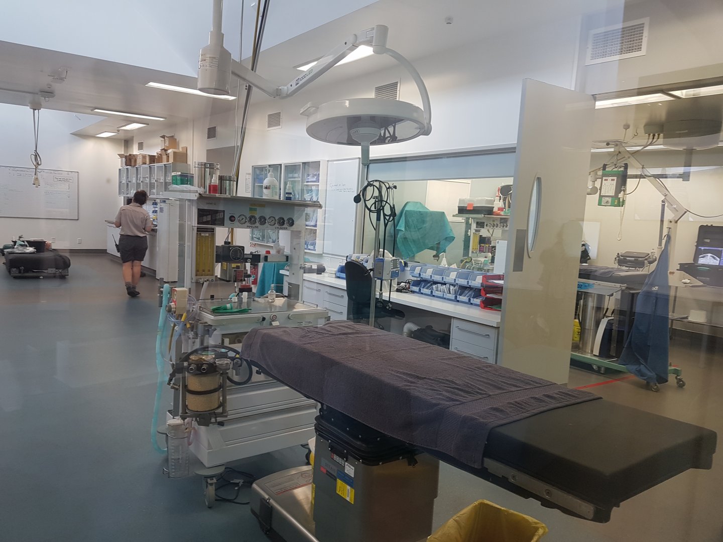 Auckland Zoo | Vet Hospital