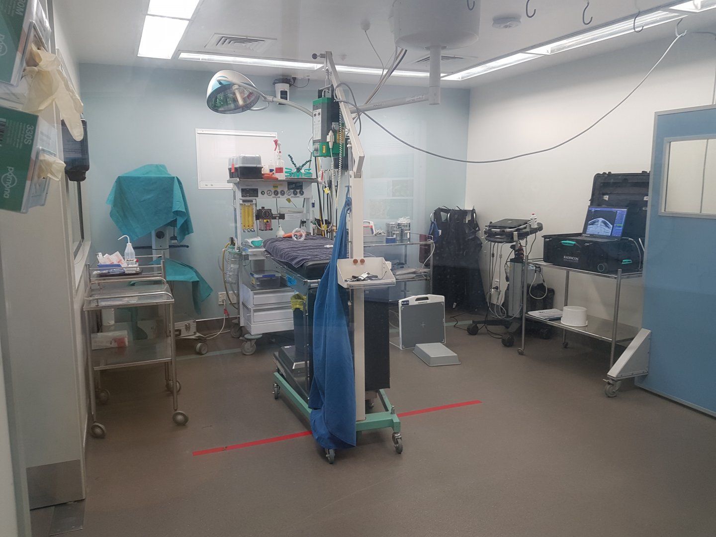 Auckland Zoo | Vet Hospital