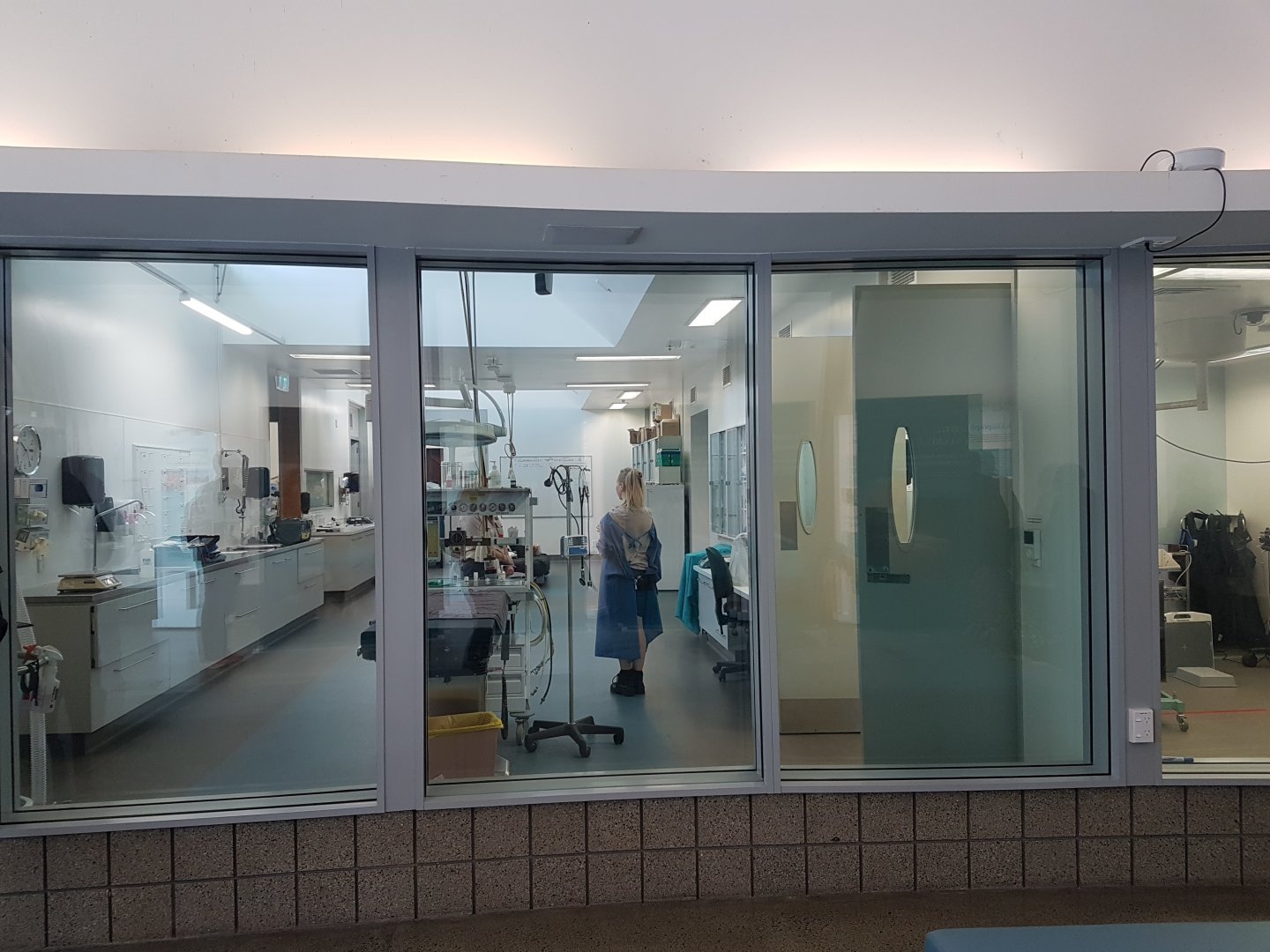 Auckland Zoo | Vet Hospital