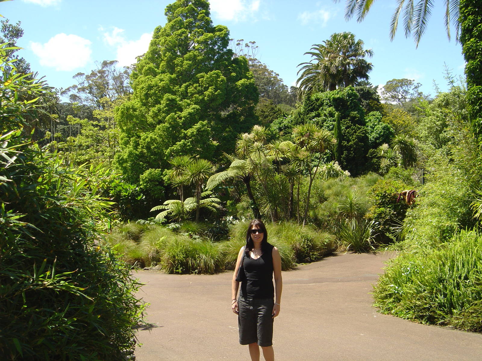 Auckland Zoo
