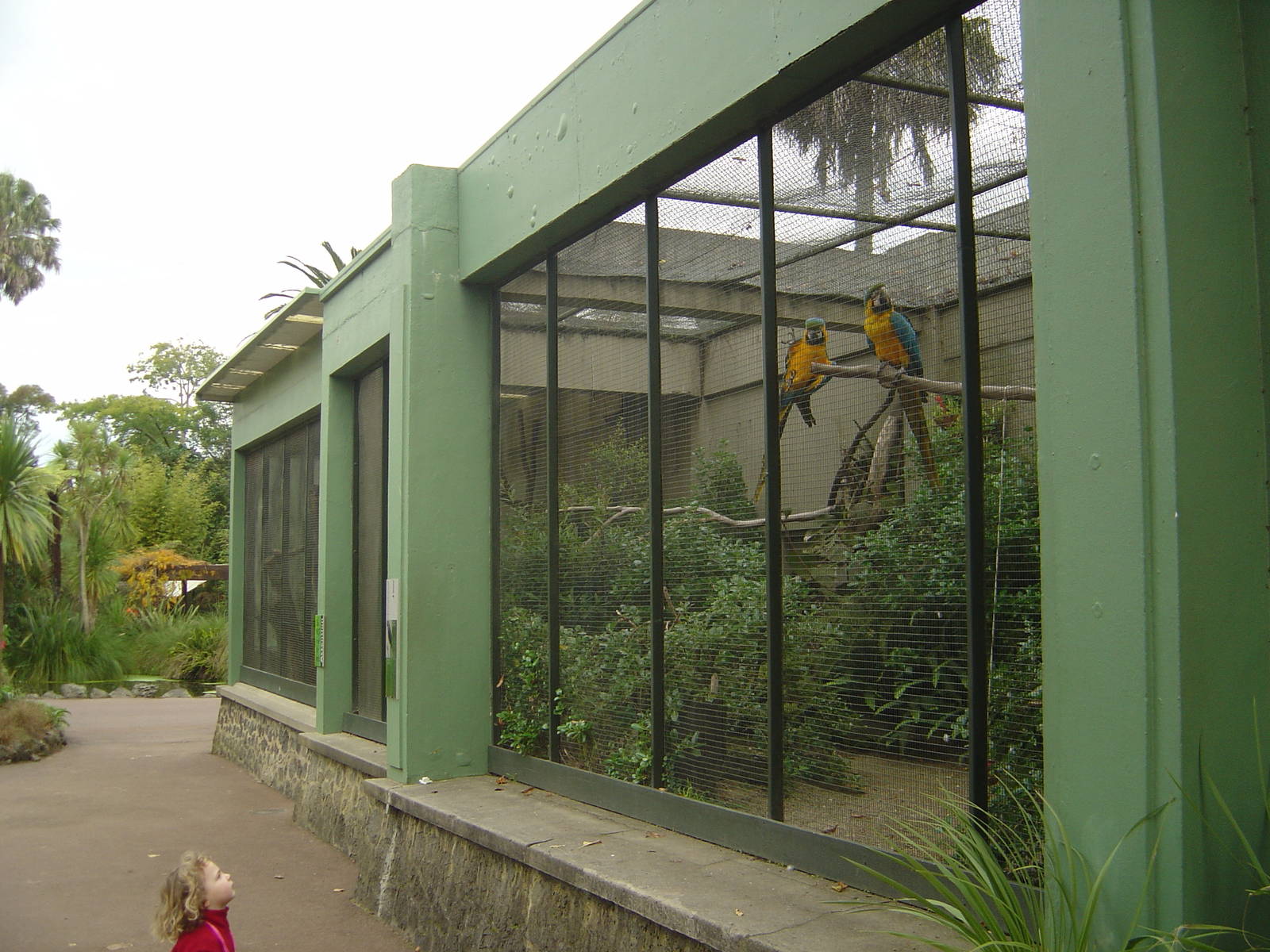 Auckland Zoo