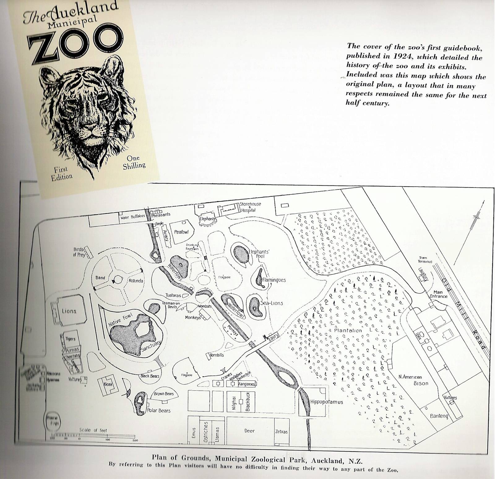 Auckland Zoo's first guide book and map