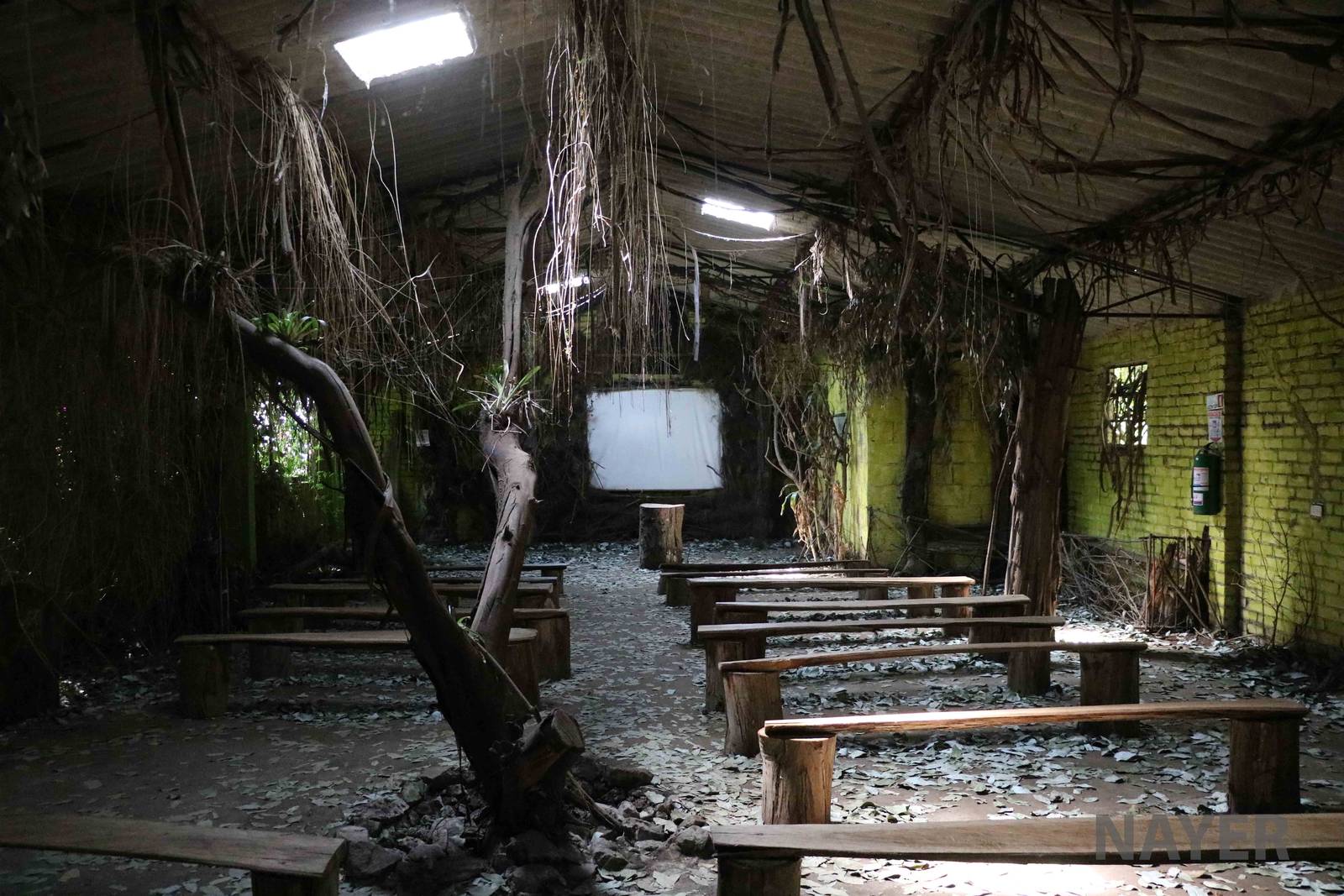 Auditorium - Bioparque la Reserva, March 2016