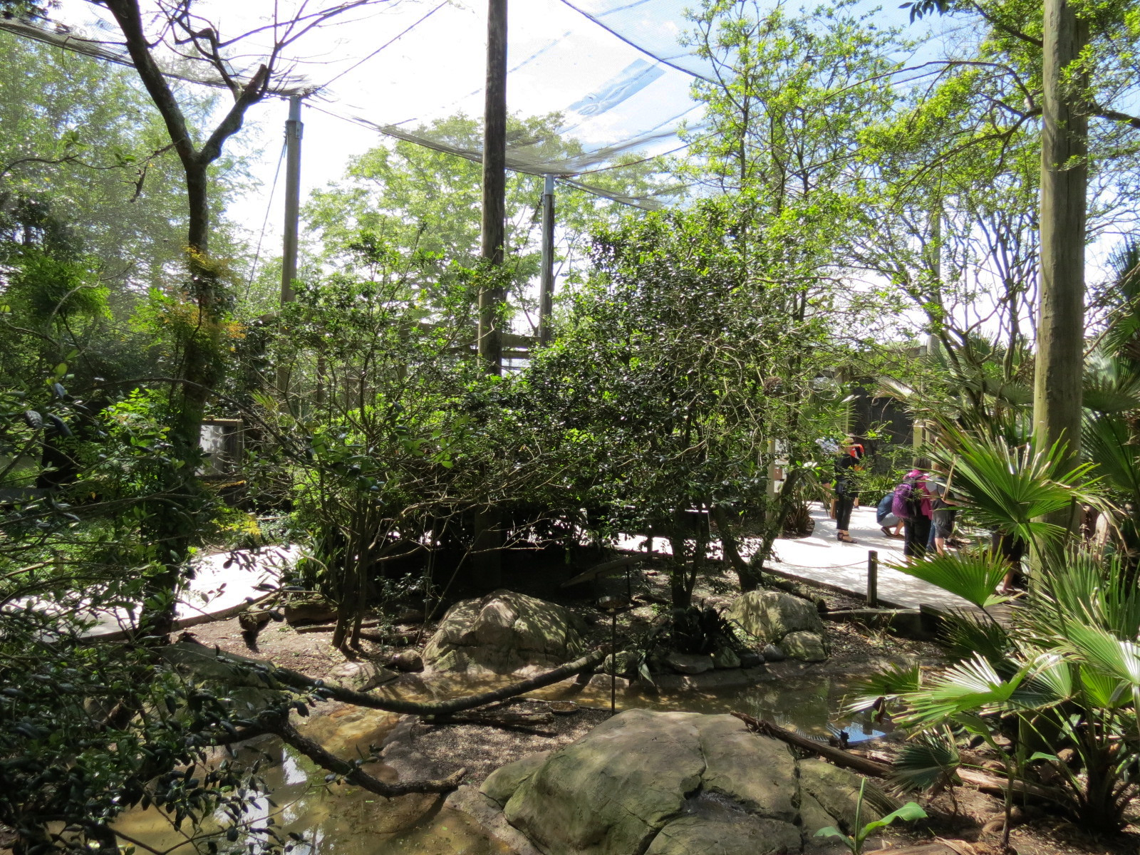 Audubon Aviary - Interior