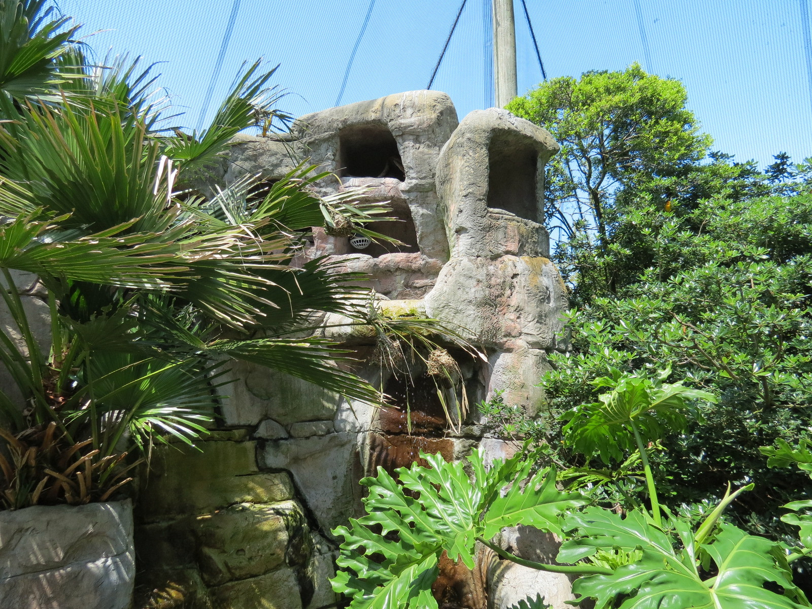 Audubon Aviary - Interior