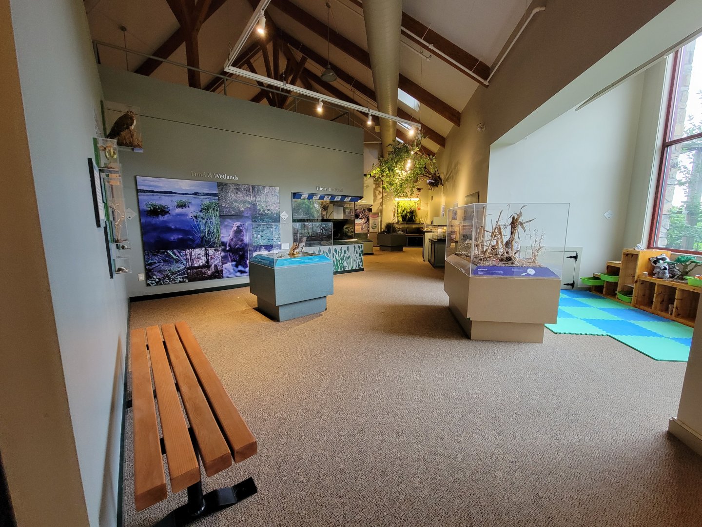 Audubon RI - Dioramas, play area