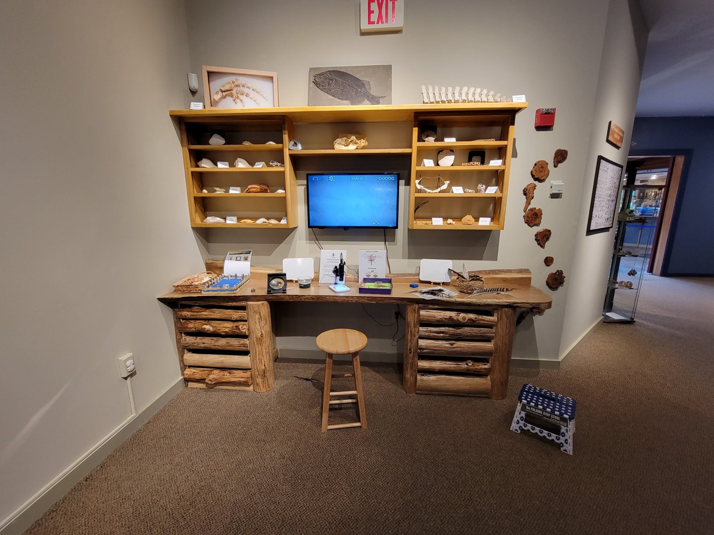 Audubon RI - Education desk, touch desk