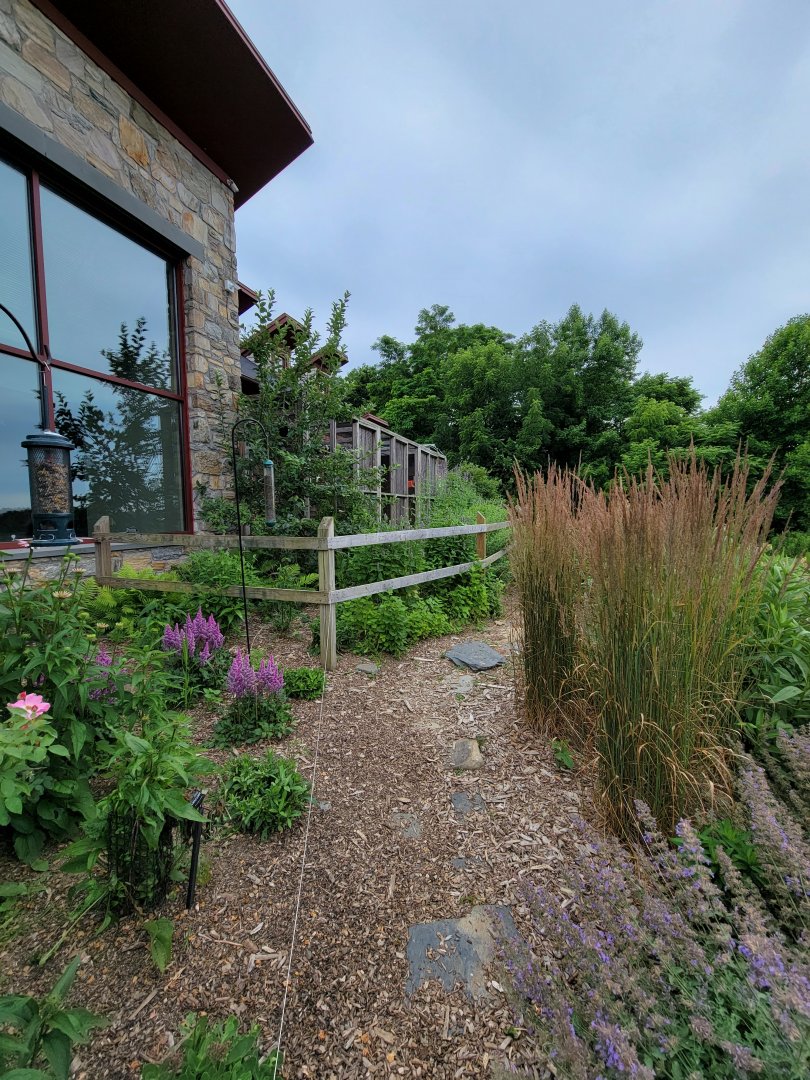 Audubon RI - Garden path