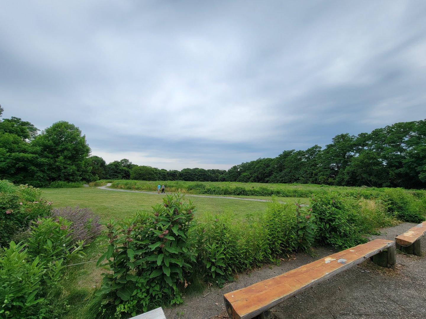 Audubon RI - Lots of birding trails outside