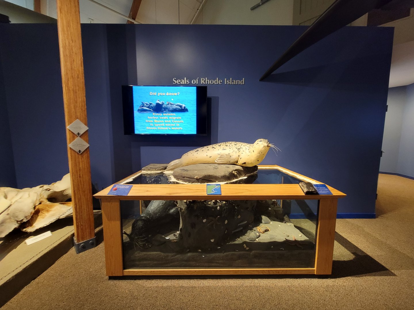 Audubon RI - Seals of rhode island info