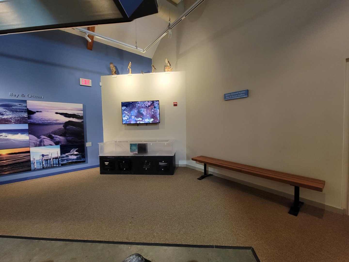 Audubon RI - Tide pool area, film, stuffed birds