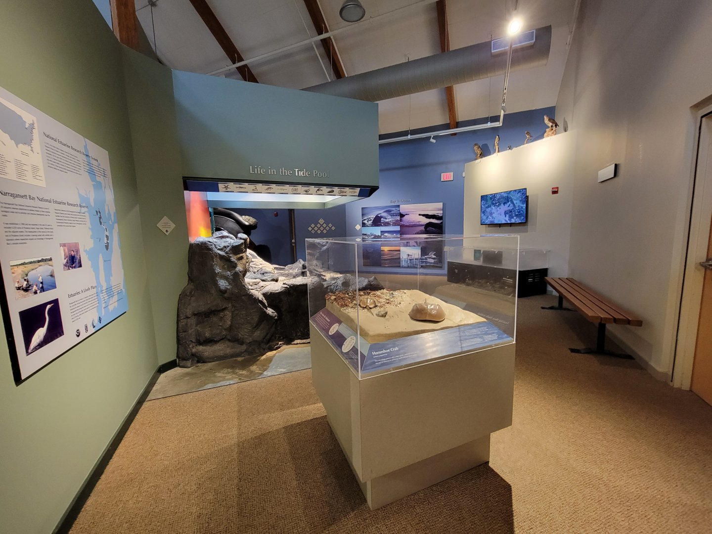 Audubon RI - Tide pool area