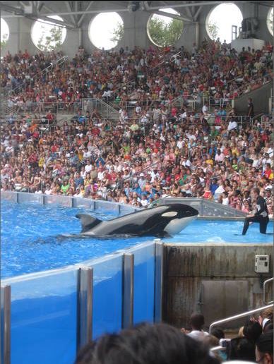 Aug. 2010-Believe-Kalina