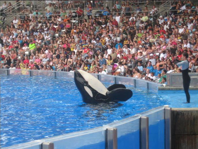 Aug. 2010-Believe-Kalina