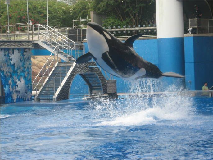 Aug. 2010-Believe-Kayla