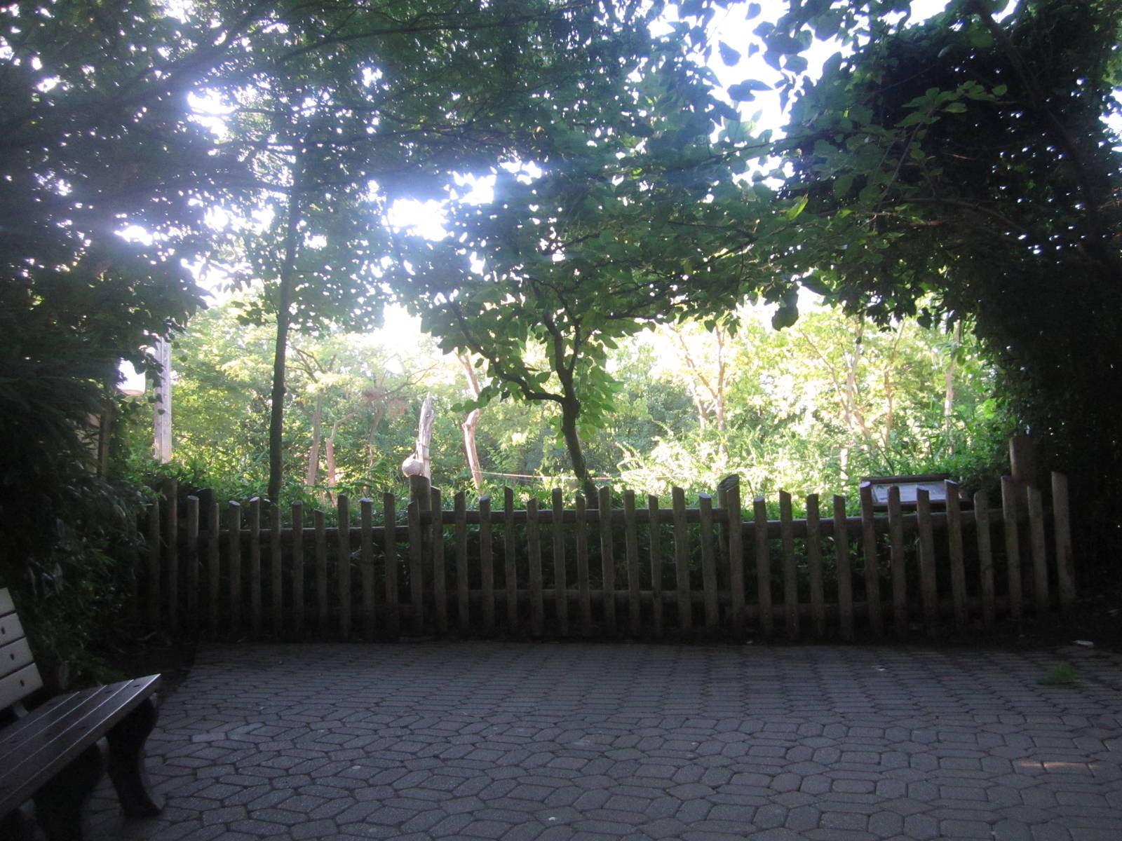 Aug. 2012-1 of 4 Viewings of the Female Indian Elephant exhibit