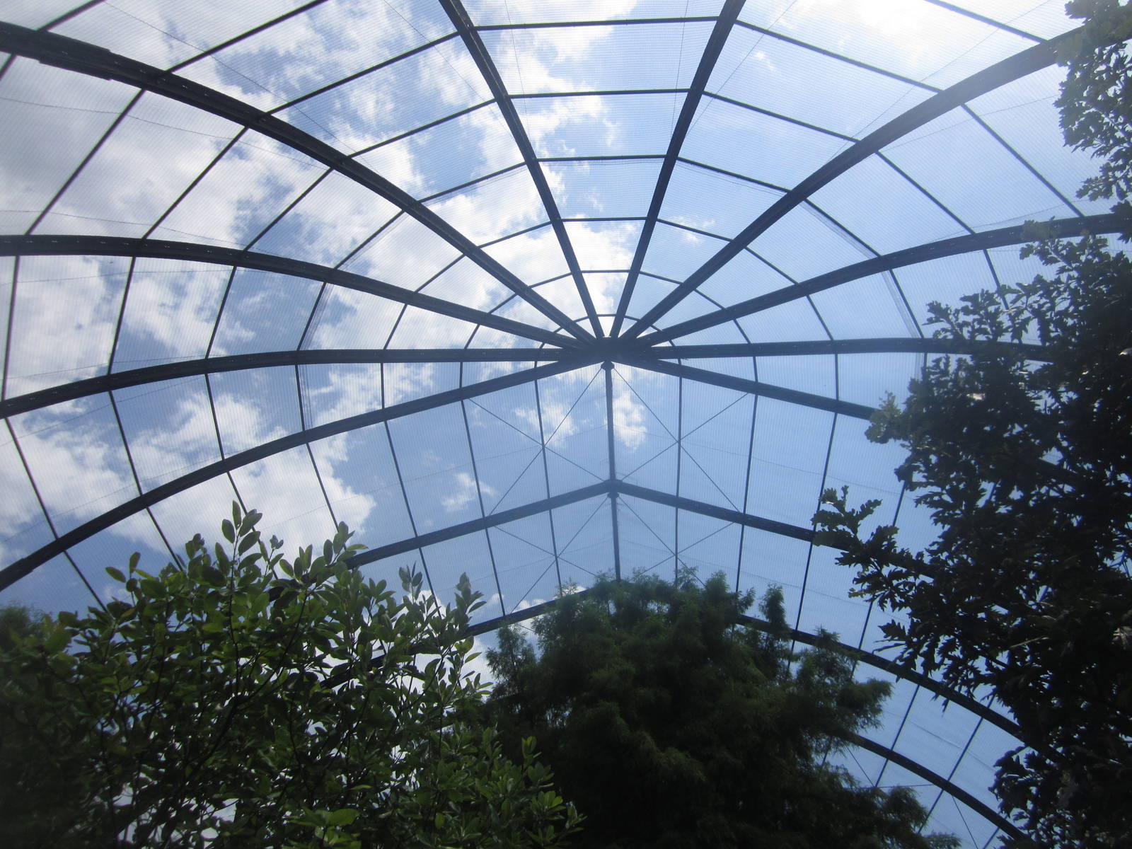 Aug. 2012-1904 World's Fair Flight Cage Cypress  Swamp