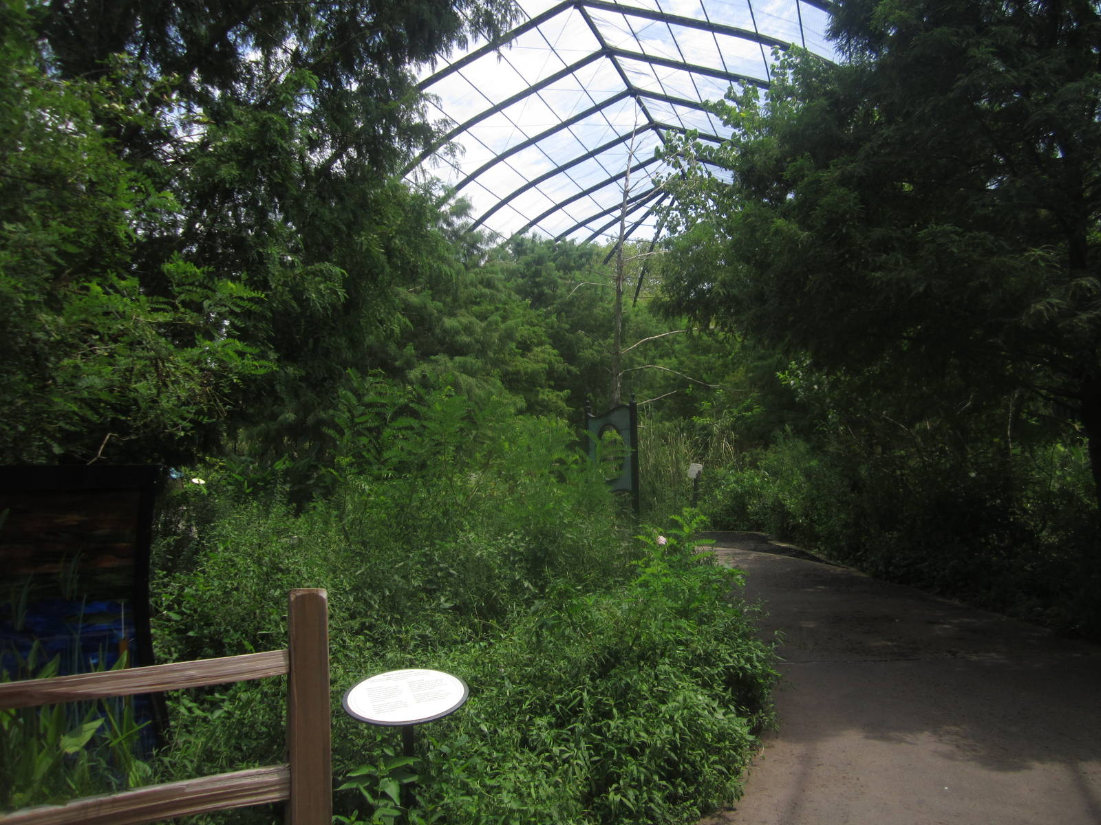 Aug. 2012-1904 World's Fair Flight Cage Cypress Swamp