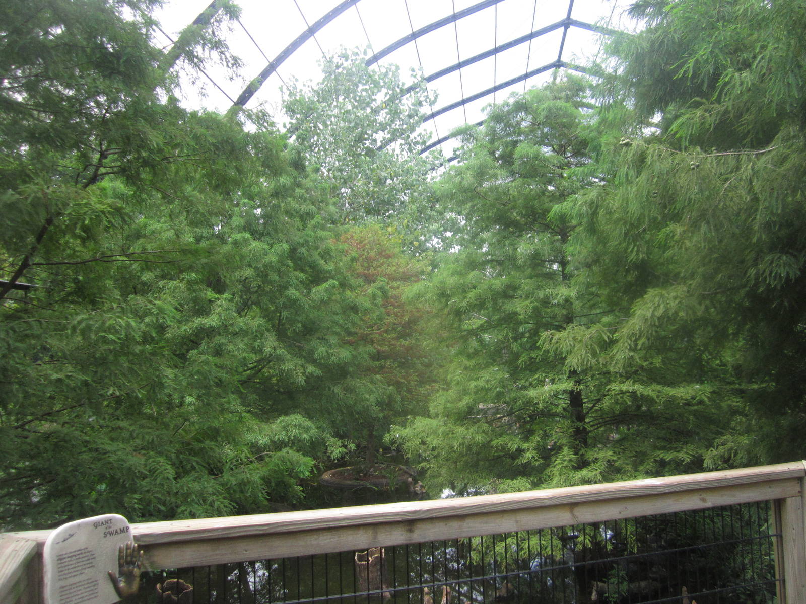 Aug. 2012-1904 World's Fair Flight Cage Cypress  Swamp