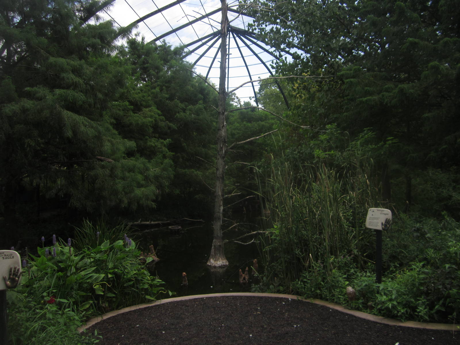 Aug. 2012-1904 World's Fair Flight Cage Cypress Swmp