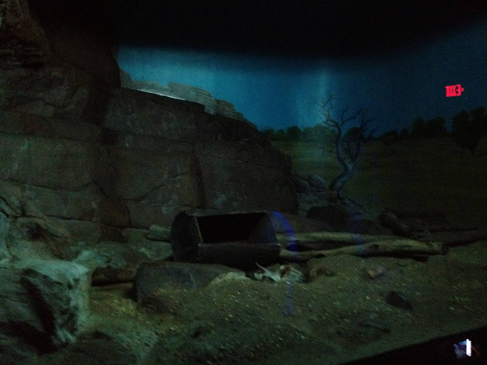 Aug. 2012-Aardwolf exhibit