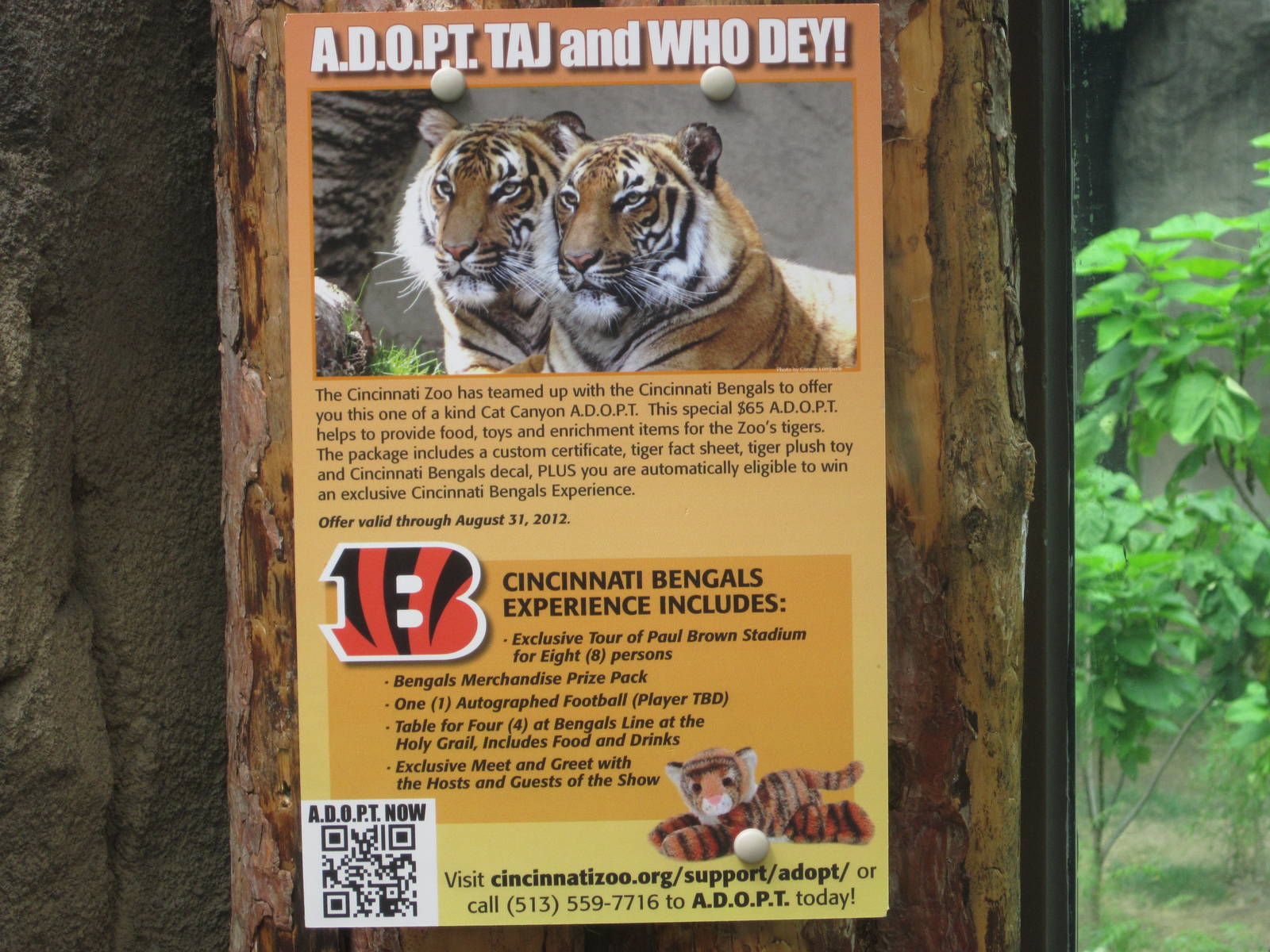 Aug. 2012-ADOPT Taj and Who-Dey sign