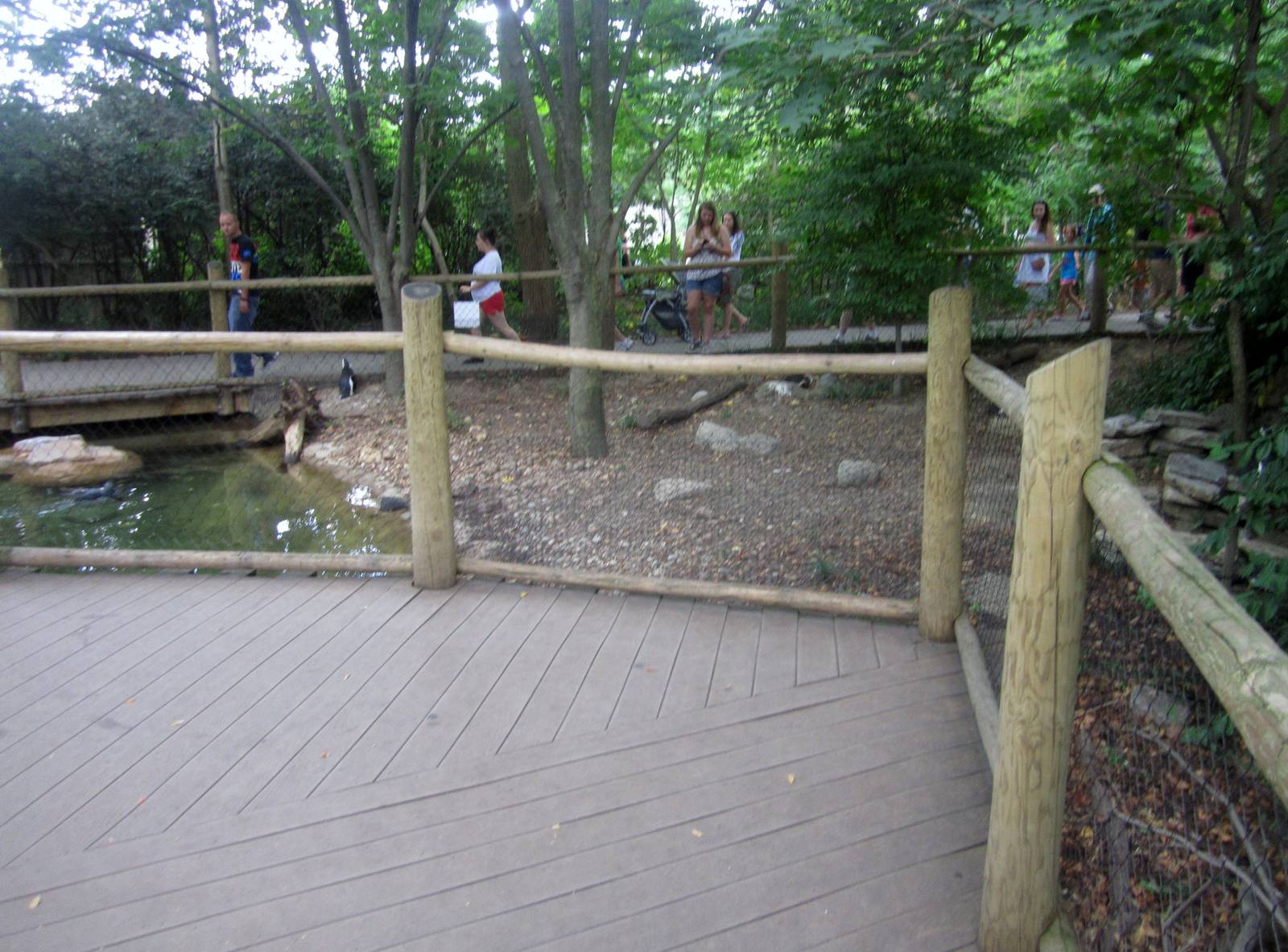 Aug. 2012-African Penguin exhibit