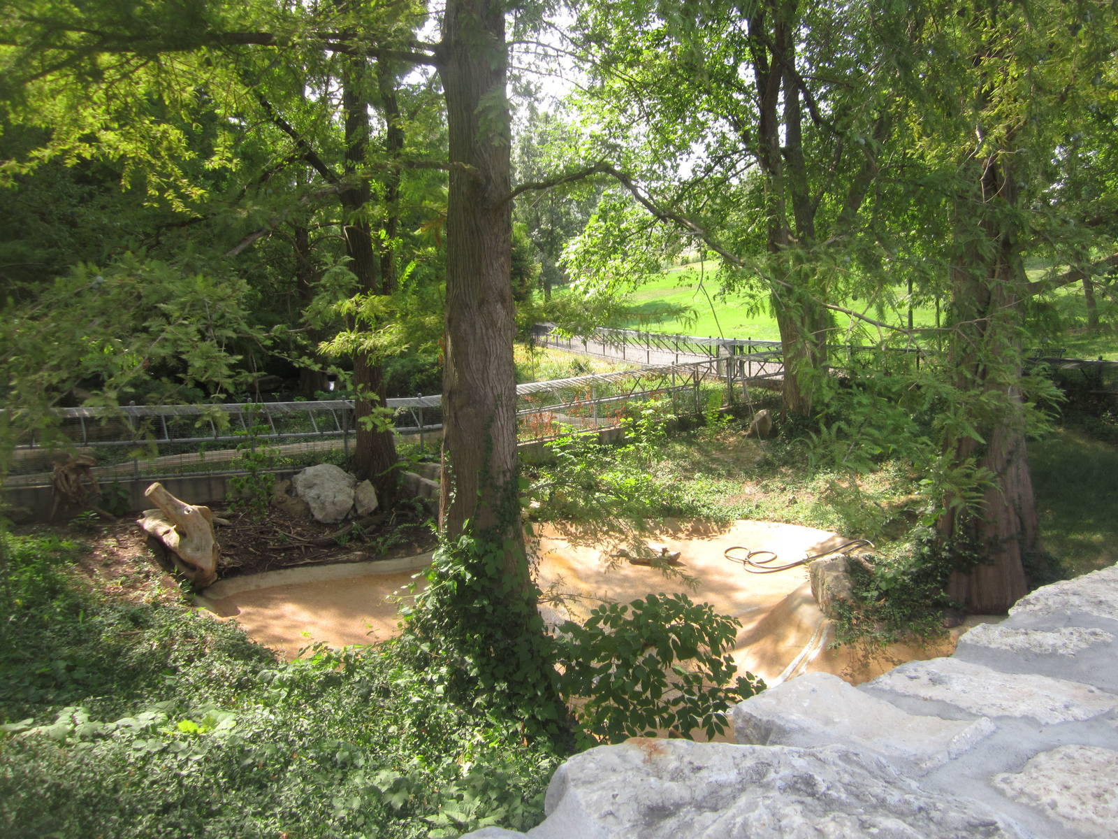 Aug. 2012-Alligator Snapping Turtle exhibit