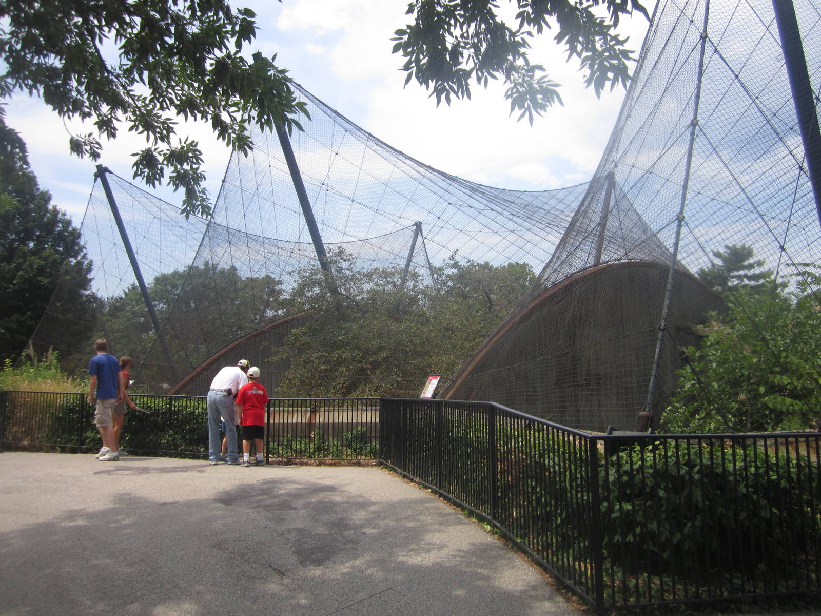 Aug. 2012-Amur/Snow Leopard exhibits