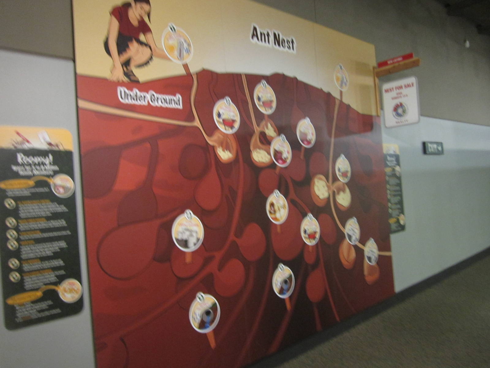 Aug. 2012-Ant Nest sign