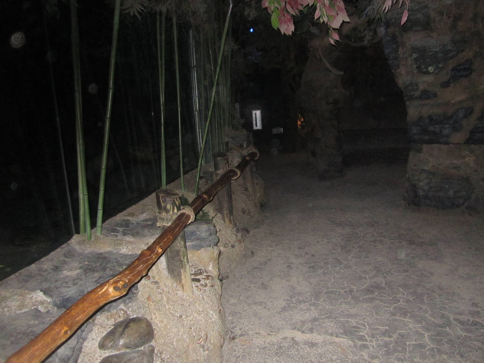 Aug. 2012-Aye-Aye/Grey Bamboo Lemur/Potto exhibit viewing