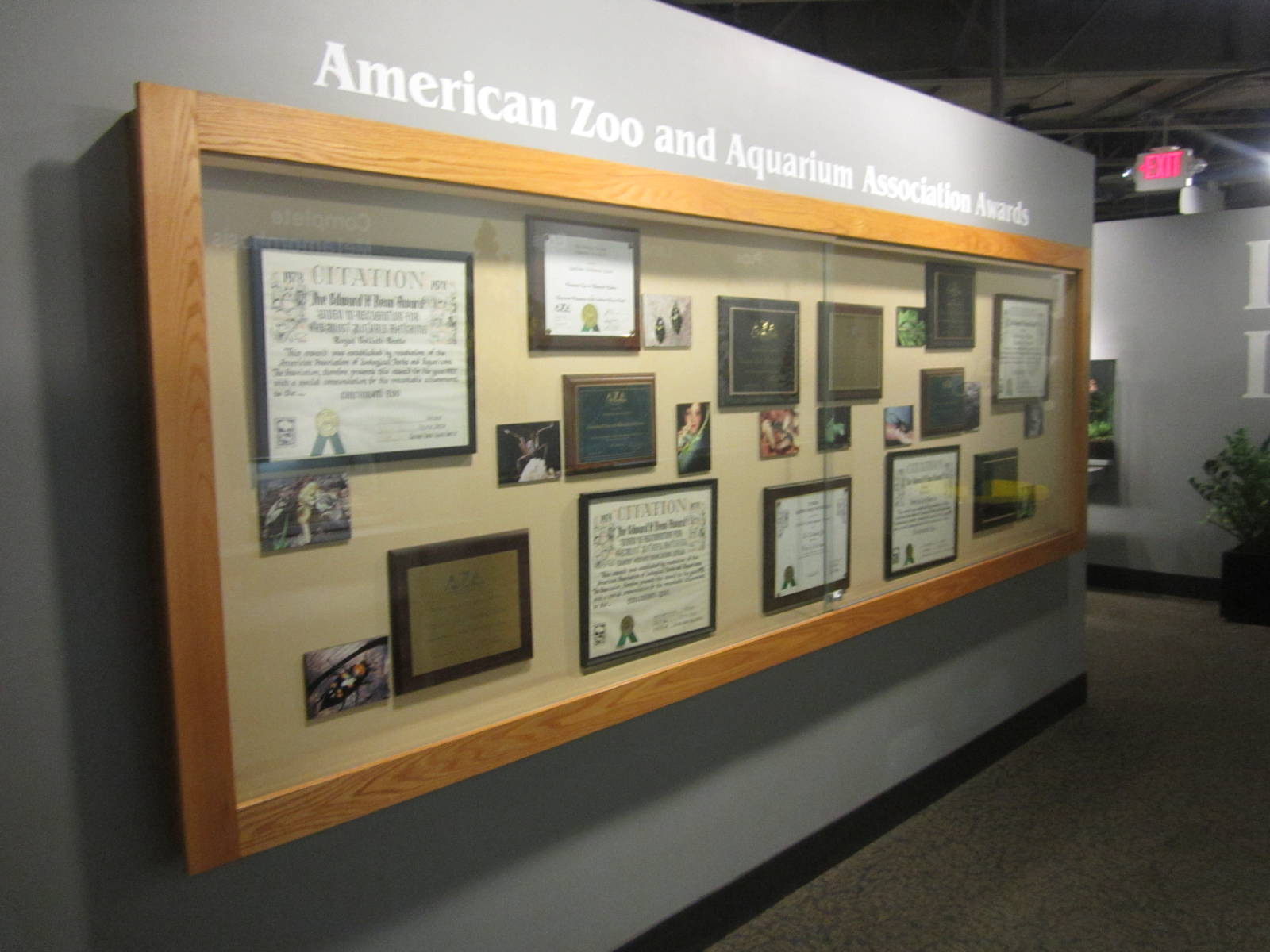 Aug. 2012-AZA World of the Insect Awards