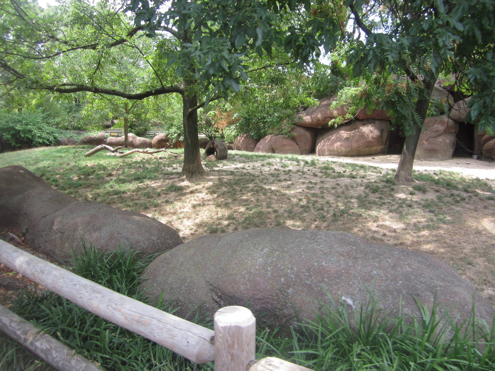 Aug. 2012-Babirusa exhibit