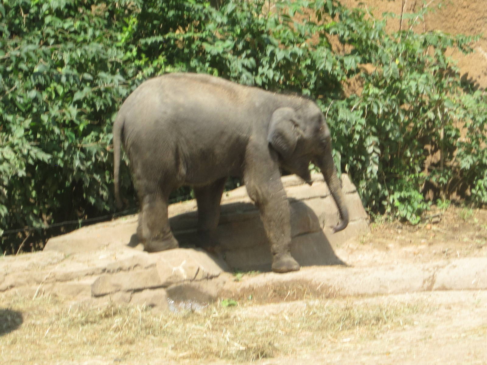 Aug. 2012-Baby Kenzi