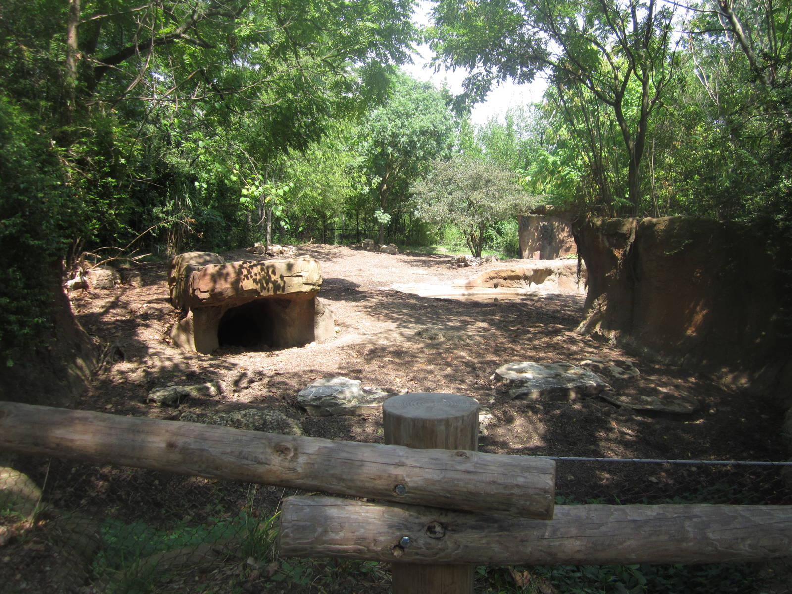 Aug. 2012-Bat-eared Fox/Red River Hog exhibit