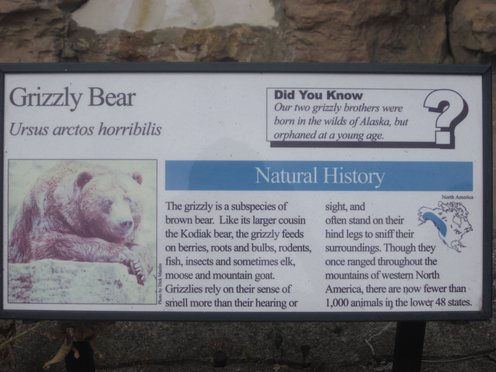 Aug. 2012-Bear Sign