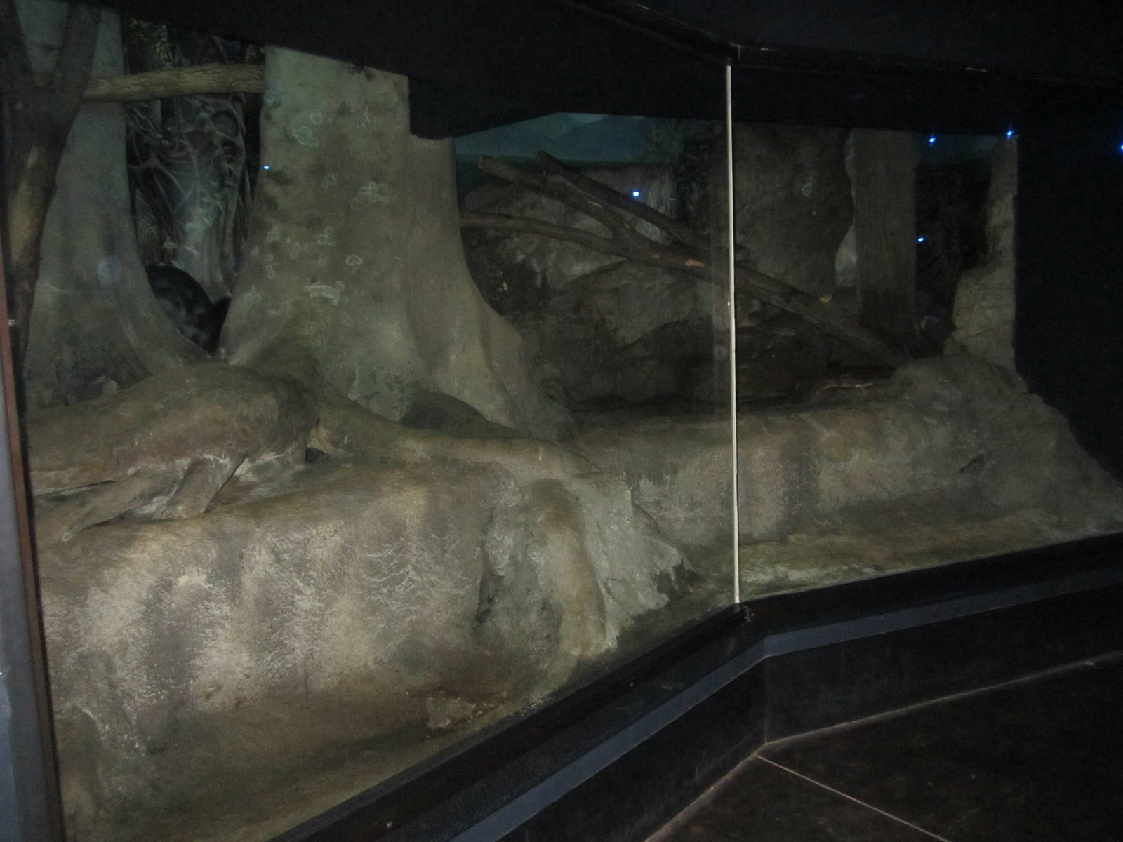 Aug. 2012-Bearcat exhibit