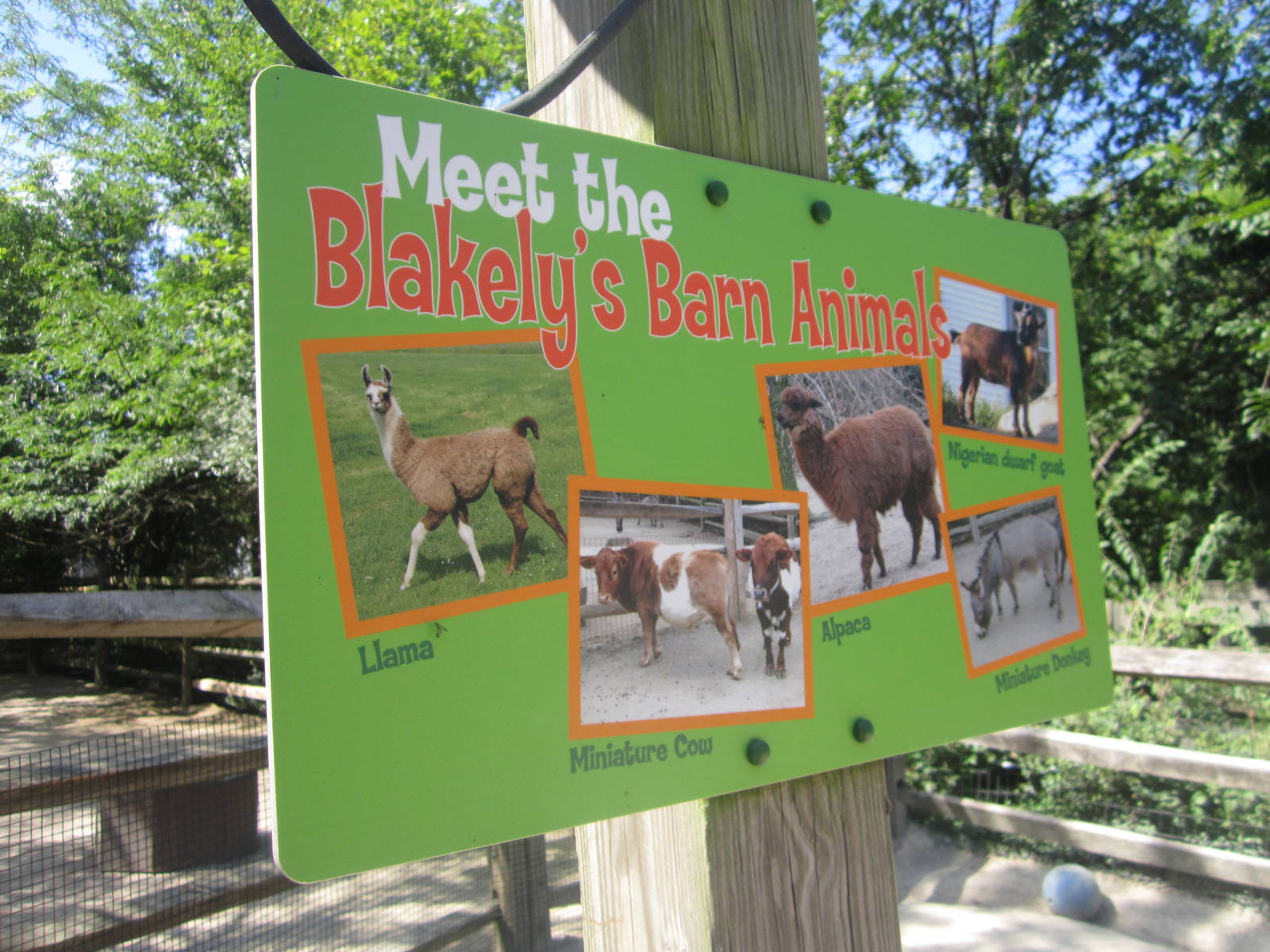 Aug. 2012-Blakely's Barnyard sign