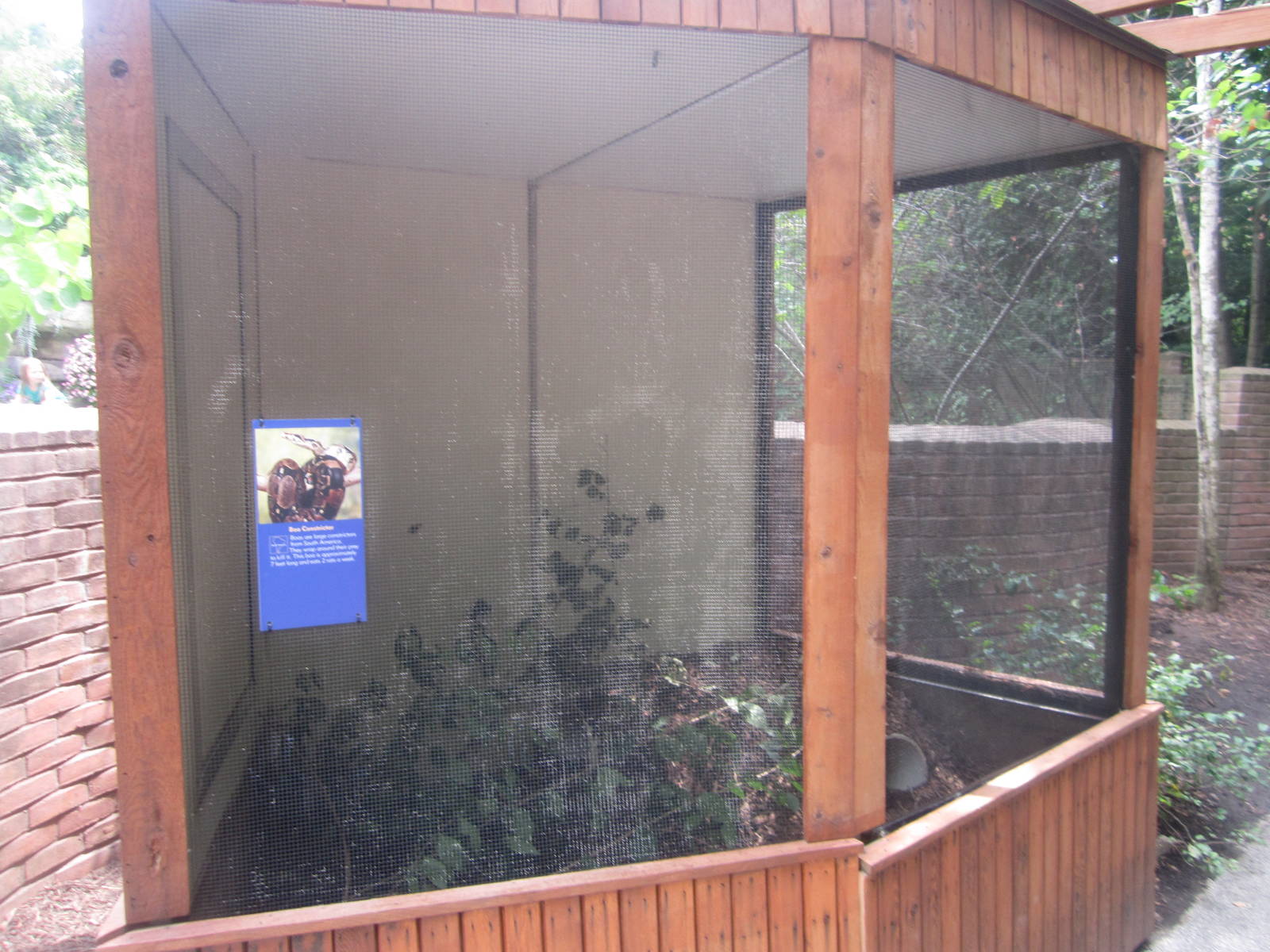 Aug. 2012-Boa Constrictor exhibit