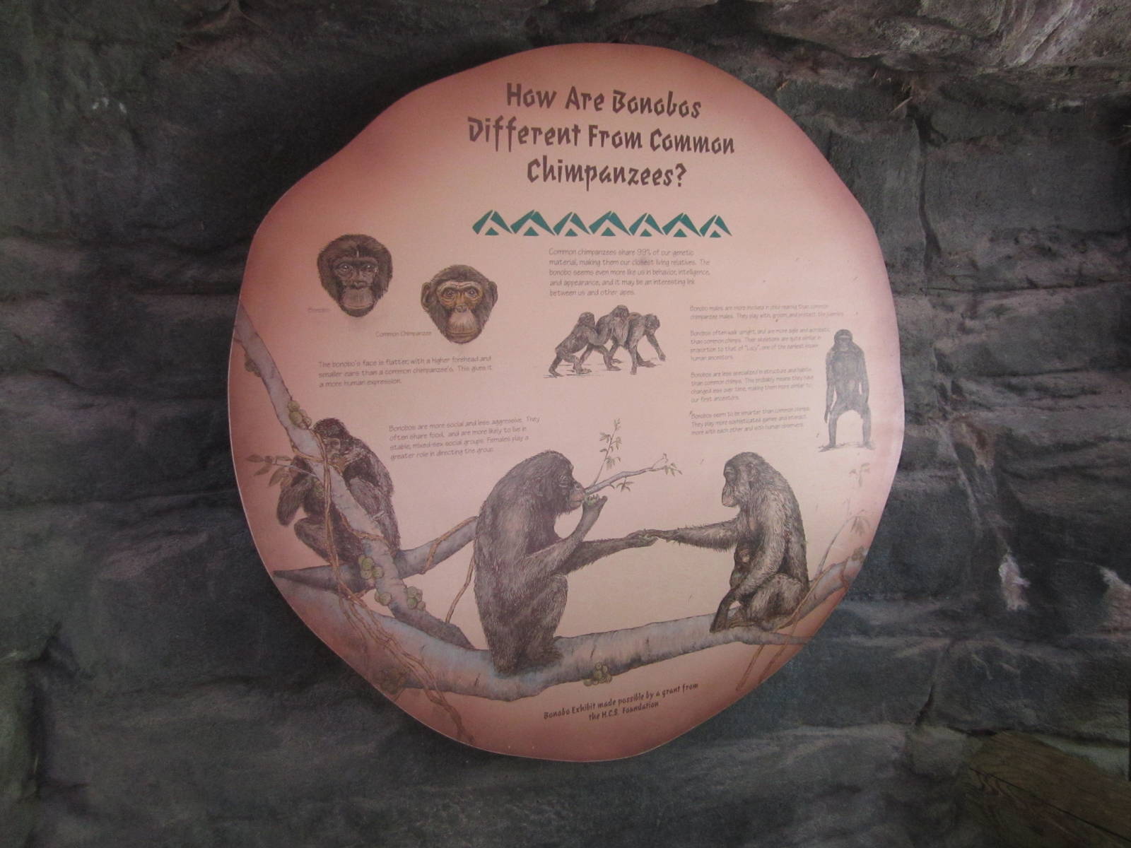 Aug. 2012-Bonobo/Chimpanzee sign