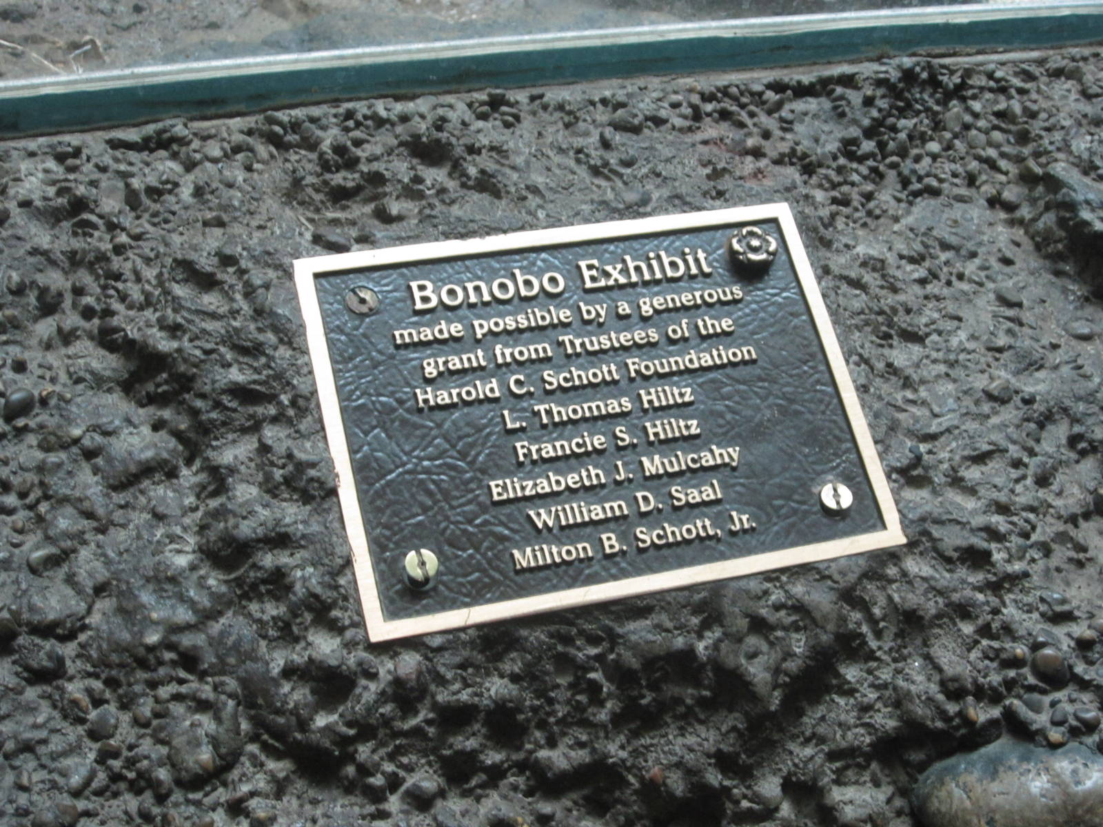 Aug. 2012-Bonobo Donation sign