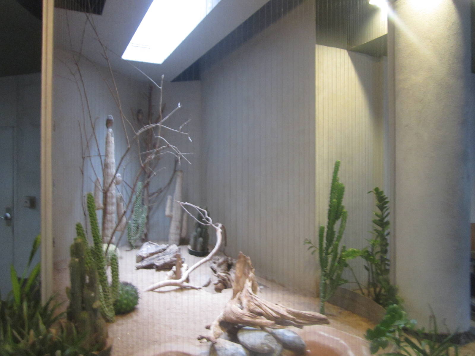 Aug. 2012-Burrowing Owl exhibit